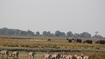 5-DAY Victoria Falls and Chobe National Park
