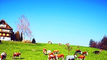 Appenzell and Liechtenstein Tour from Luzern