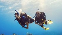 Mallorca: SSI Open Water Diver course