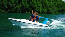 Speedboat jungle tour and snorkel