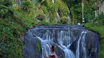 Santa Rosa de Cabal and Hot Springs Day Trip