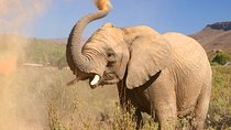 Aquilla BIG5 private Safari Cape Town
