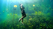 Xenotes Full Nature Experience! Round Transportation From Cancun & Riviera Maya