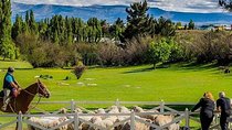 Country Afternoon with Dinner Show - Estancia 25 de Mayo