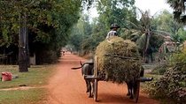 Tuk Tuk Journey: Exploring Rural Life and Silk Farm Craftsmanship