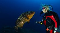 Learn to Dive PADI Open Water Diver Course