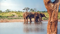 Full-Day Trip to Hwange National Park with Hotel Pickup