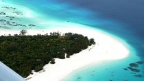 Mnemba Island Snorkeling Dolphin Tour and The Rock Restaurant