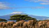 3 Days Amboseli National Park-Lodge Safari with Private 4x4 JEEP