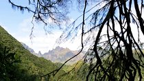 Ribeiro Frio - Portela