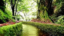 Kings Levada - São Jorge