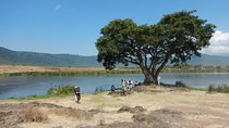 Ngorongoro Adventure Day Tour from Arusha