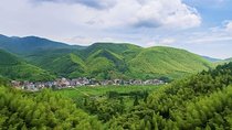 Private Transfer between Hangzhou City and Mogan Mountain 