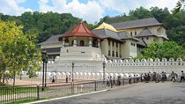 Sri Lanka Airport (BIA CMB) to Kandy Pickup And Drop|Private Transfer
