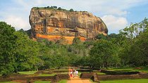 Sri Lanka Airport (BIA CMB) to Sigiriya Pickup And Drop|Private Transfer