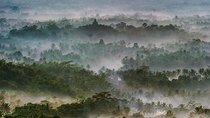 Yogyakarta Motorcycle Tour:Puthuk Stumbu Sunrise,Borobudur Temple