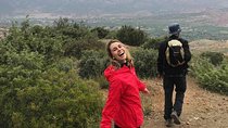Small-Group Toubkal National Park Hiking Tour from Marrakech