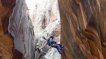 Moab Rappeling Adventure: Medieval Chamber Slot Canyon
