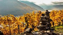 Wachau with a difference
