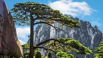 2-Day Mt Huangshan and Xidi Village Private Tour from Hangzhou by Bullet Train