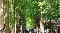 Muslim Tour (Nami Island + Petite France)