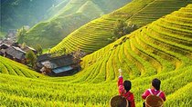 4-Day Private Essence China Tour including Beijing, Xian, Guilin and Shanghai
