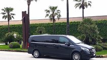 Private transfer from Palermo airport to Hotel Politeama or vice versa