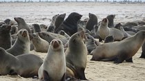 8-Day Etosha NP, Swakopmund & Sossusvlei