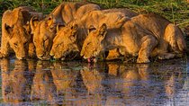  Wonder Victoria Falls Adventure 6Days/5Nights (Comfort Plus)