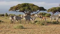 4 Days/3 Nights Adventure in Maasai Mara – Lake Nakur