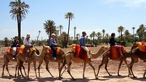 Marrakech Private Tour with Camel Ride in Palmeraie