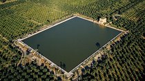 Half-Day Private Tour to Marrakech Gardens with Hotel Pickup