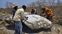 Ghanian adventure safari 8 days 7 Nights( comfort)