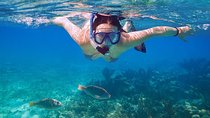 Amazing Snorkel Experience! Round Transportation From Cancun