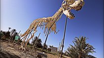 3-Day Private Desert Tour to Merzouga from Fez