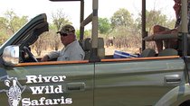 Game Drive (AM / PM) - Zambezi National Park - River Wild Safaris
