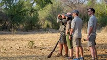 Canoe & Drive Combo - 3 Days 2 Nights - River Wild Safaris 