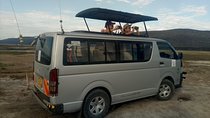 Nairobi National Park Game Drive and Transfer