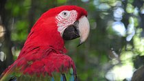 3-Days Foz do Iguaçu Classic Package