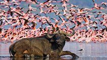 3 DAYS LAKE NAKURU-HELL'S GATE (Cost Based on Minimum 2 persons)