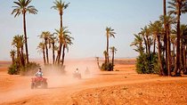 Marrakech: Half-Day Desert Quad & Dromedary Tour