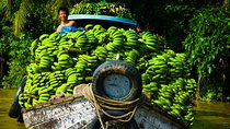 2-day My Tho boat trip & Cai Rang floating market (Overnight in Can Tho)
