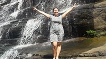  Nuwara Eliya Day Tour