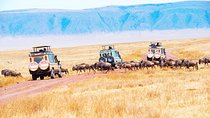 6 Days Lodge Safari.