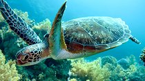 Tortuguero Park 3 days Vacation Package