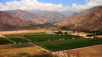 Full Day Excursion to Cafayate from Salta