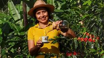 Explore the Coffee Process_From Tree to Cup & Fun by Jeep