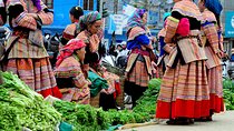 7-day Hanoi Sapa Ninh Binh Halong Bay 