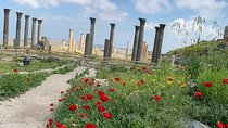 Umm Qais, Jerash & Ajloun Castle Day Tour from Amman
