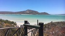 Private day tour along the west coast around Cape Town